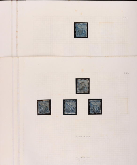 Lot 625