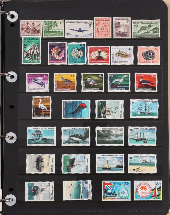 Lot 639