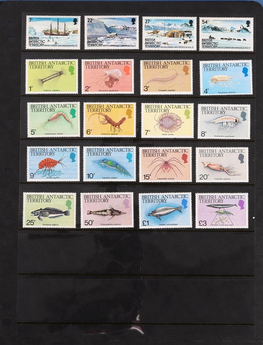 Lot 639