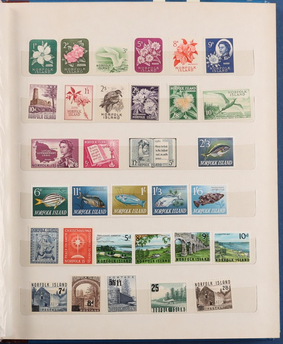 Lot 650