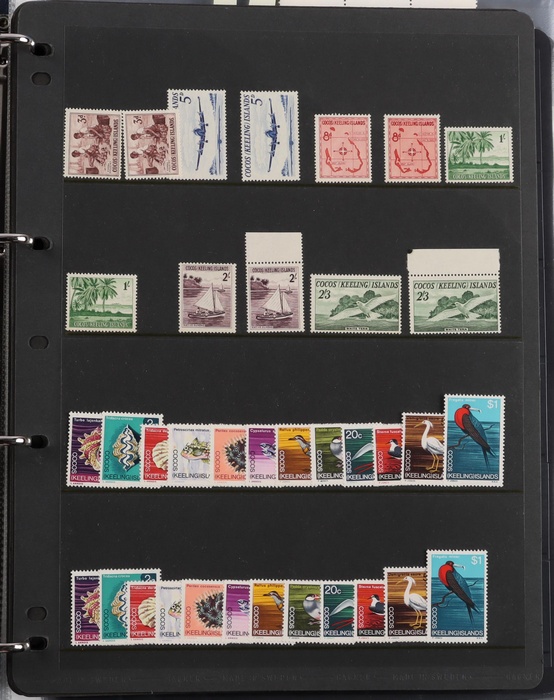 Lot 650
