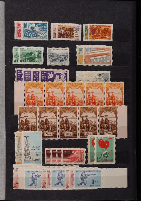 Lot 658