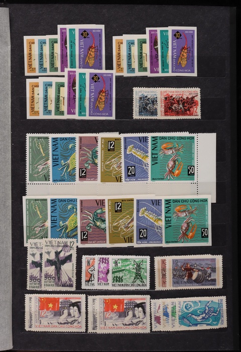 Lot 658