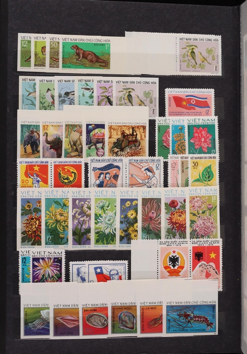 Lot 658