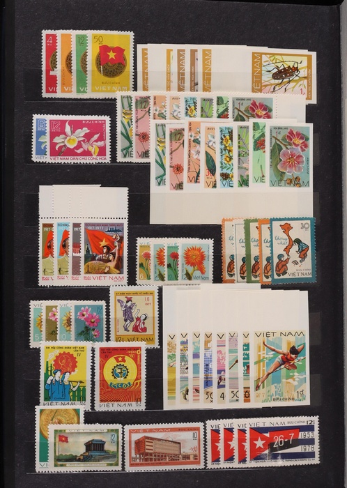 Lot 658