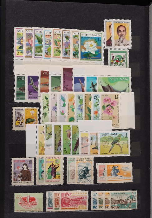 Lot 658