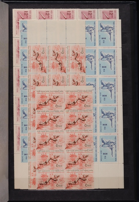 Lot 658