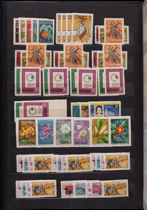 Lot 658
