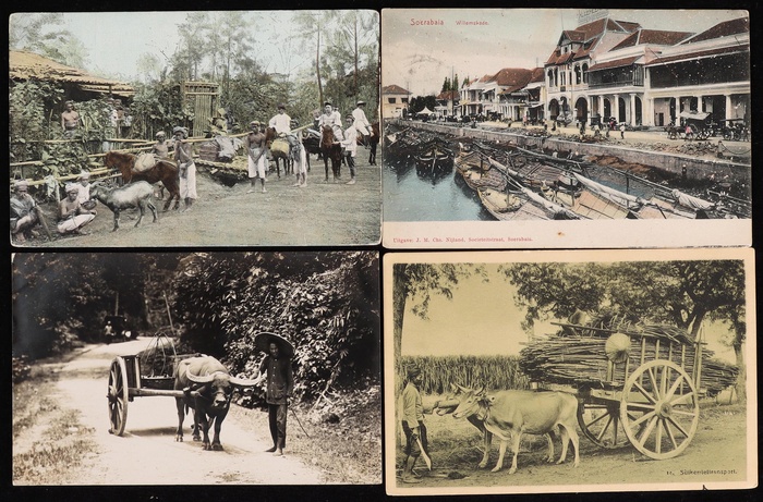 Lot 748