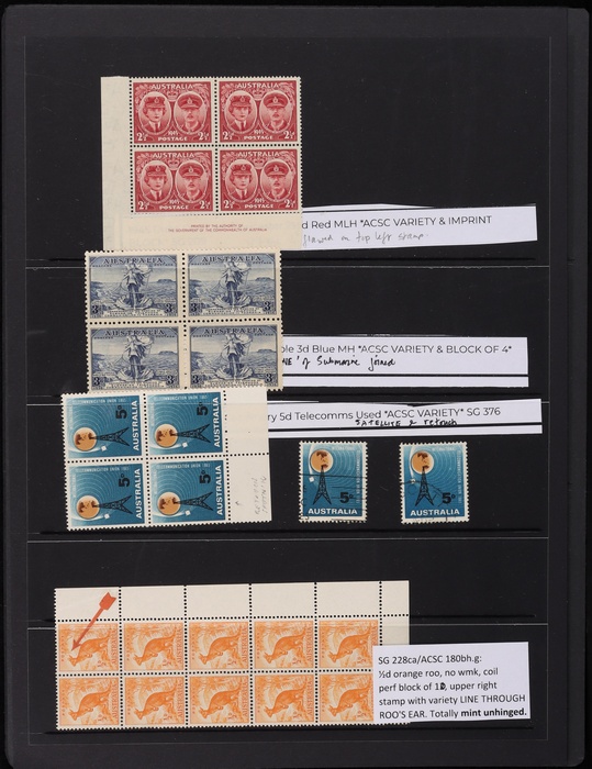 Lot 75
