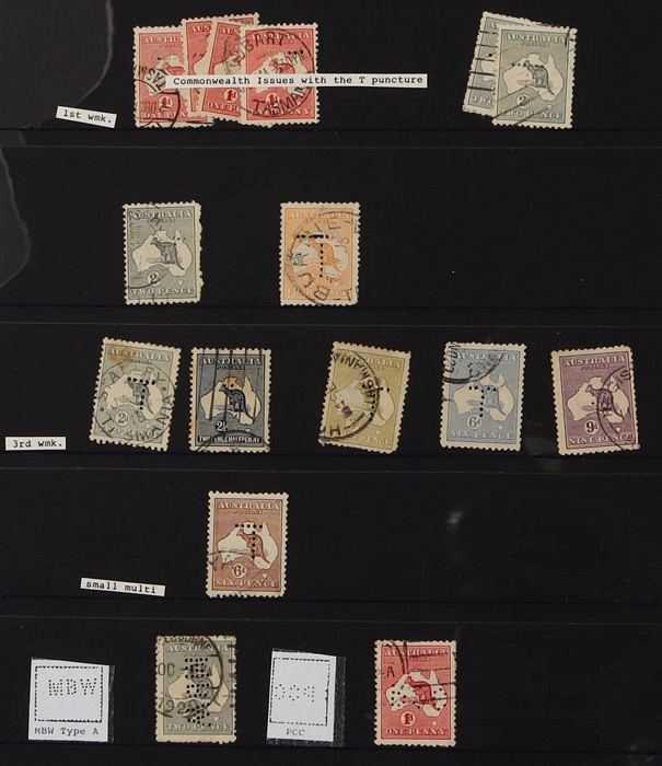 Lot 772