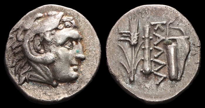 Lot 10041