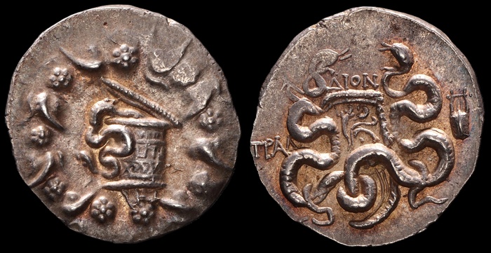 Lot 10042