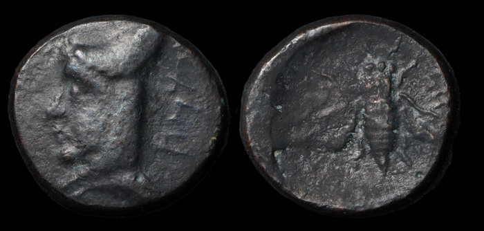Lot 10061