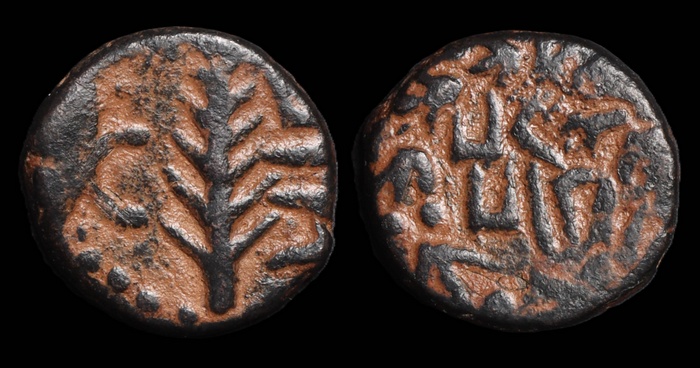 Lot 10081