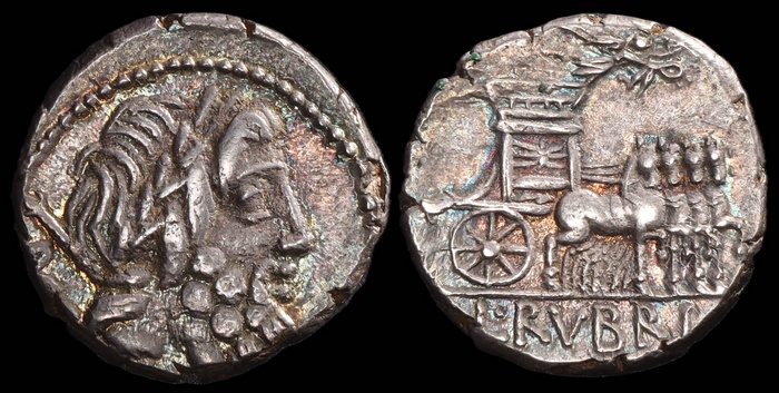 Lot 10113
