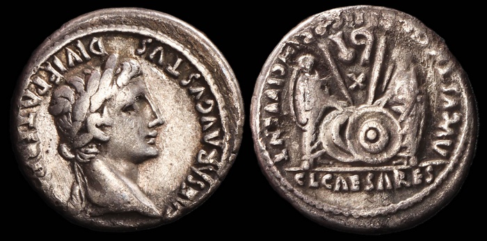 Lot 10186