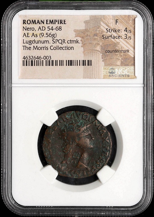 Lot 10206