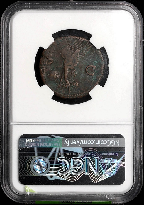 Lot 10206