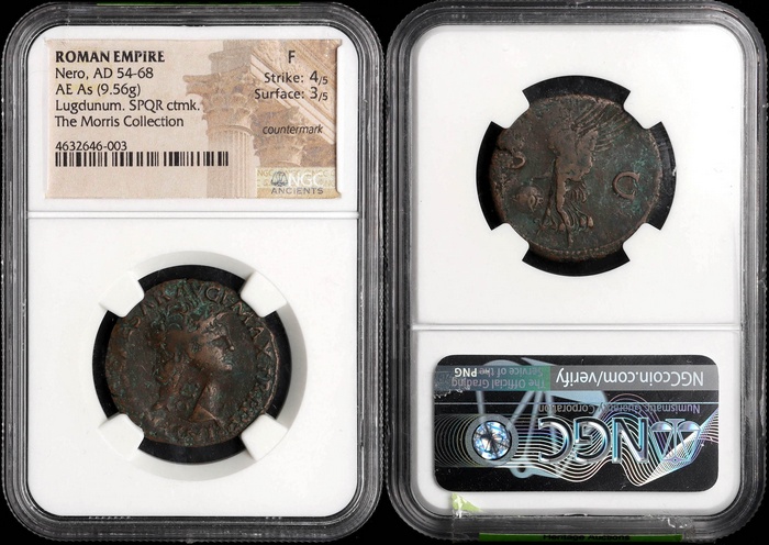 Lot 10206