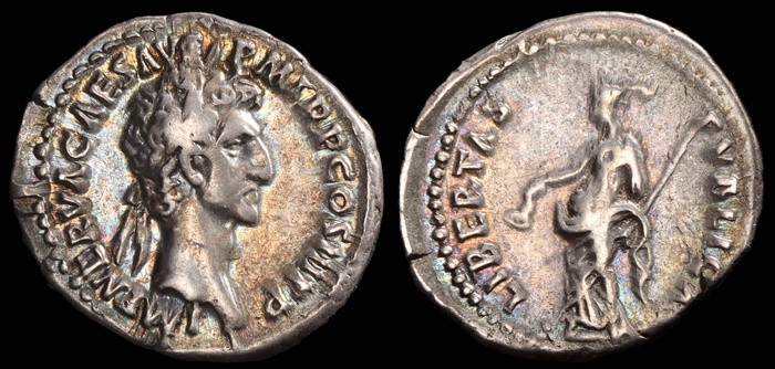 Lot 10229