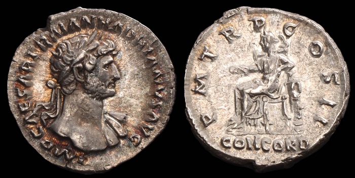 Lot 10238