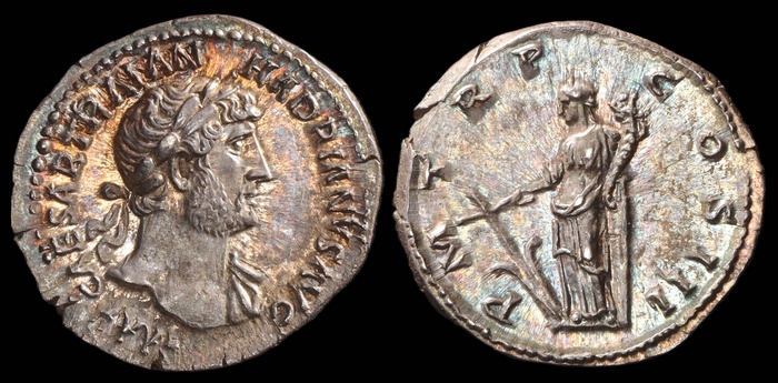 Lot 10239