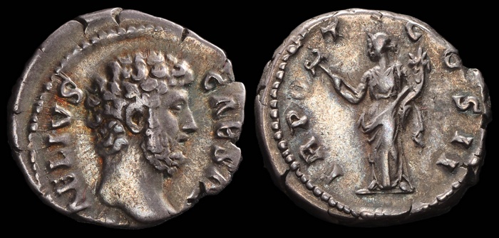 Lot 10243