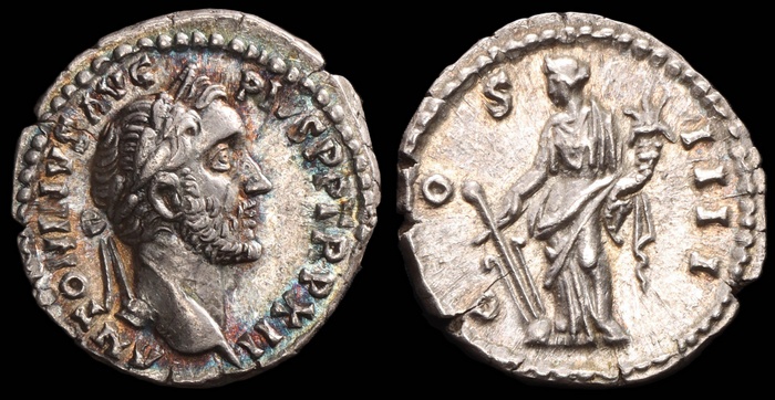 Lot 10244