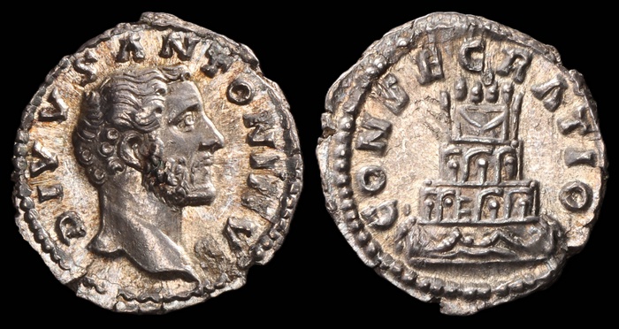 Lot 10251