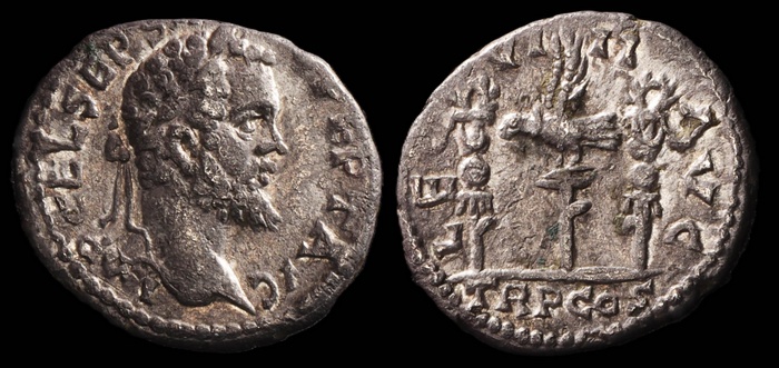 Lot 10282