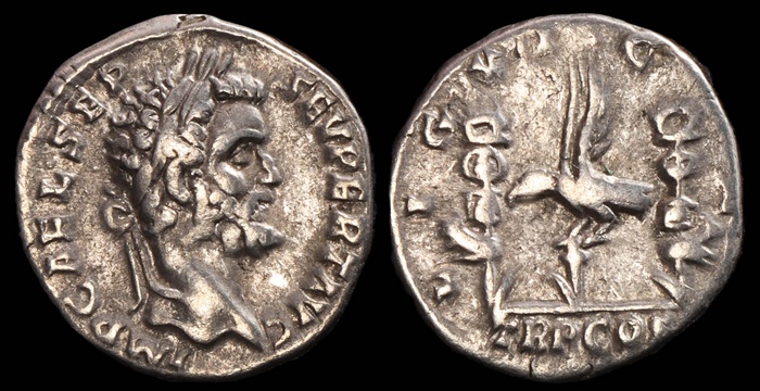Lot 10283