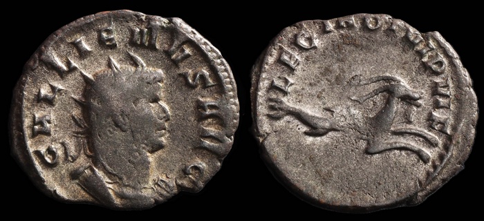 Lot 10308