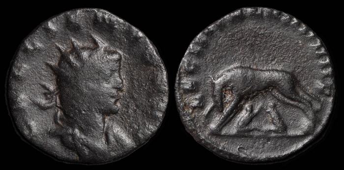 Lot 10309