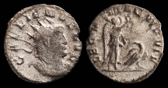 Lot 10312