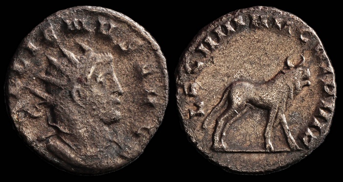 Lot 10313