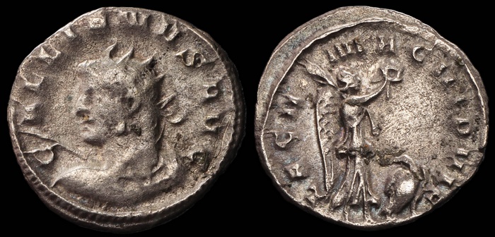 Lot 10316