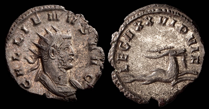 Lot 10317