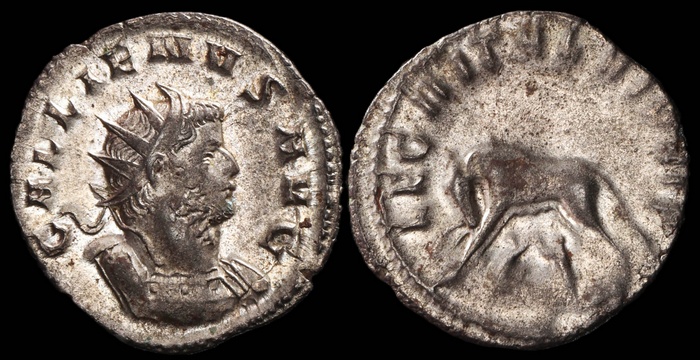 Lot 10325