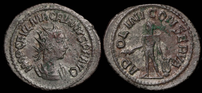 Lot 10328