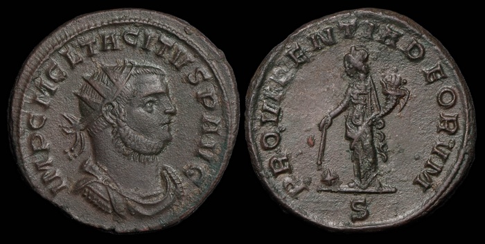 Lot 10336