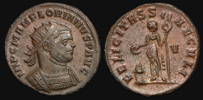 Lot 10337