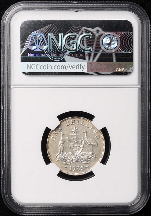 Lot 10795