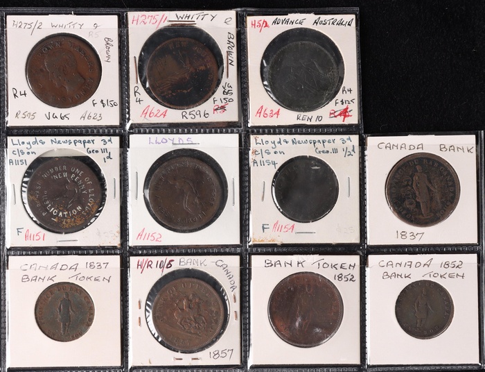 Lot 11384