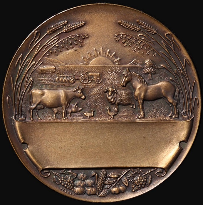 Lot 11494