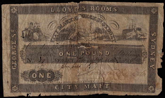 Lot 11567