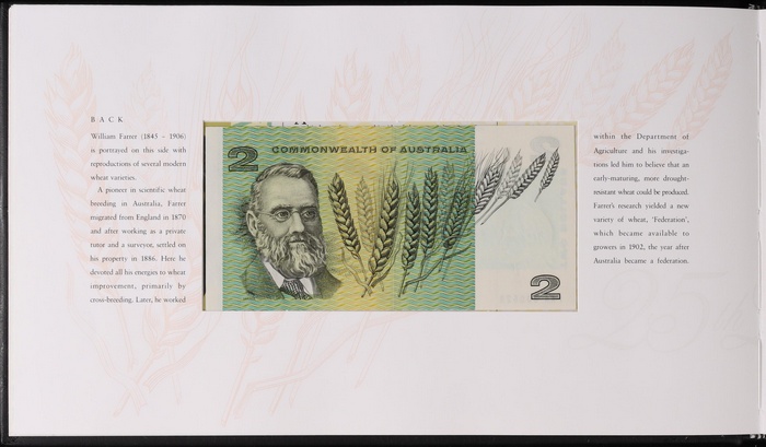 Lot 11765
