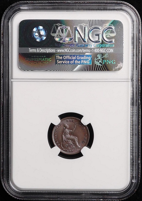 Lot 12161