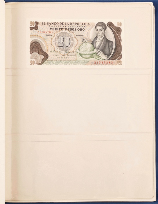 Lot 12561