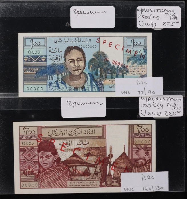 Lot 12781